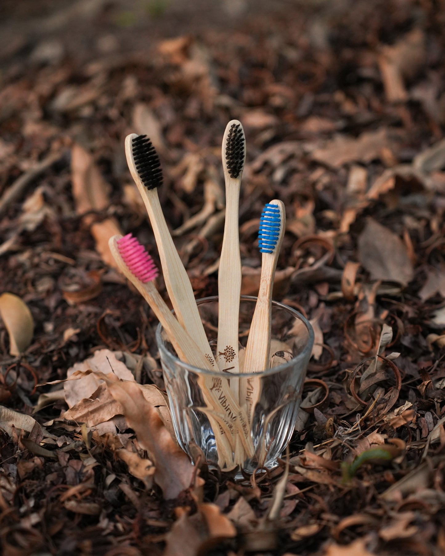 VibinVriksh Earth Brush – Bamboo Toothbrush with Charcoal-Infused Bristles