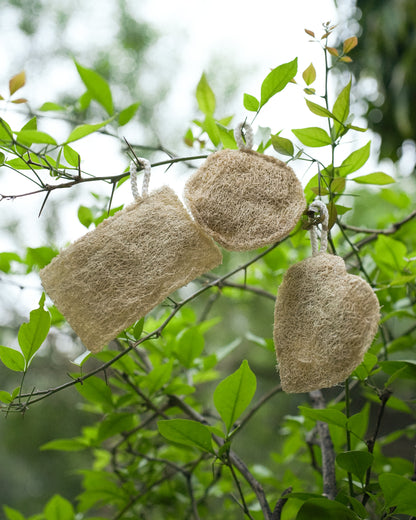 VibinVriksh EcoScrub – Natural Loofah (Pack of 3)