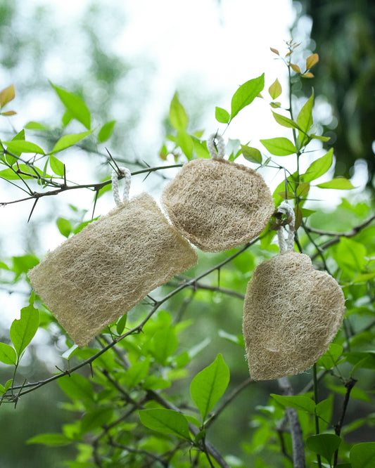 VibinVriksh EcoScrub – Natural Loofah (Pack of 3)
