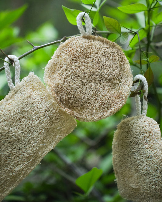 VibinVriksh EcoScrub – Natural Loofah (Pack of 3)