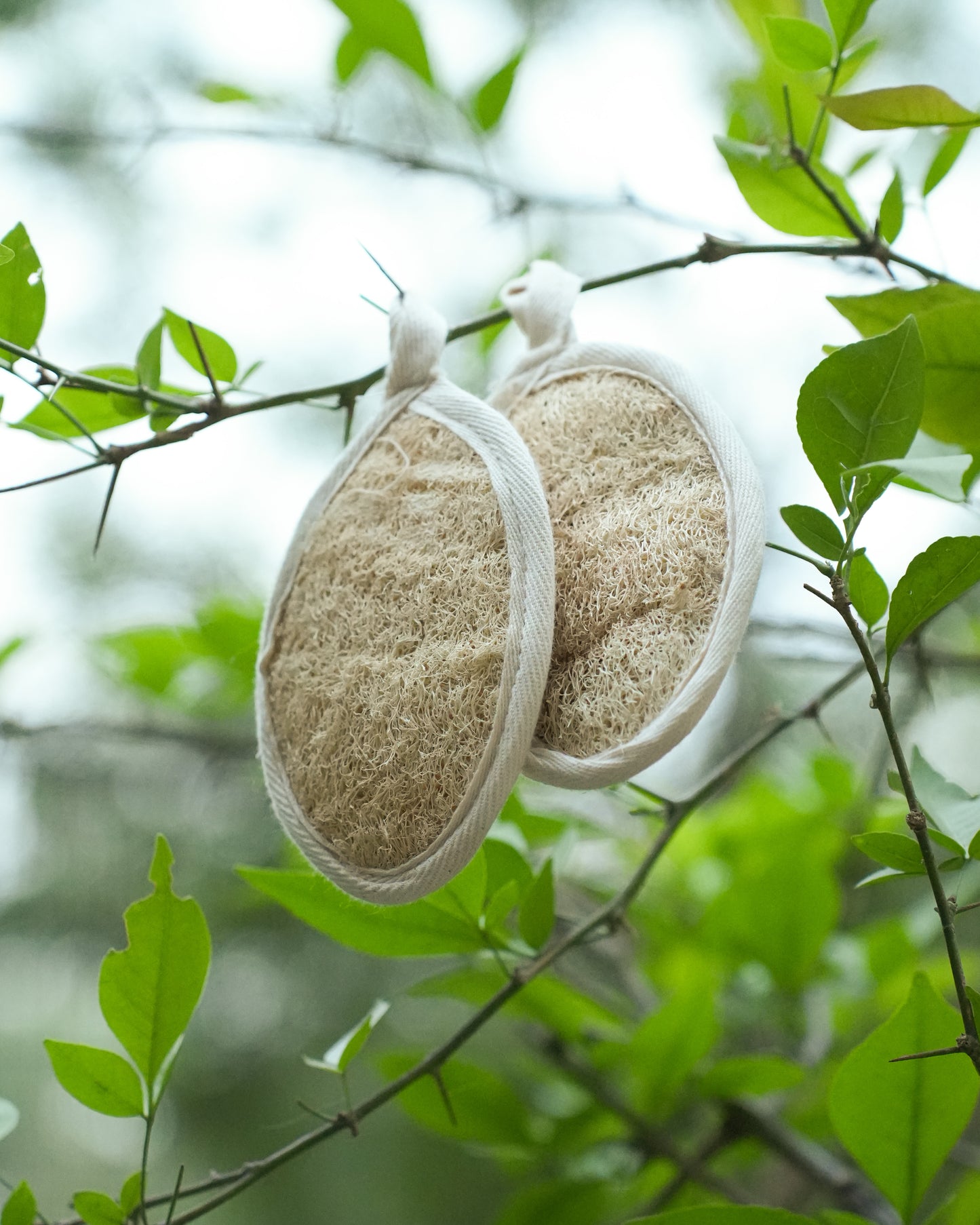 VibinVriksh EcoScrub – Natural Shower Loofah Bath Sponge
