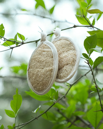 VibinVriksh EcoScrub – Natural Shower Loofah Bath Sponge